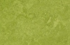 Натуральный линолеум green 3247