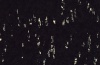 Натуральный линолеум Artoleum Graphic 1090169_6