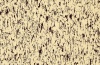 Натуральный линолеум Artoleum Graphic 1090173_6