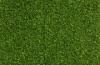 Искусственная трава 9505  Balta Garden Verde